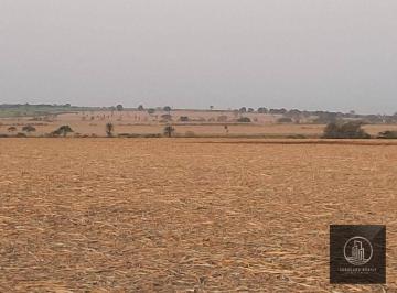Imagem 1 · Fazenda
