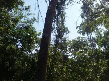 Imagem 1 · Fazenda