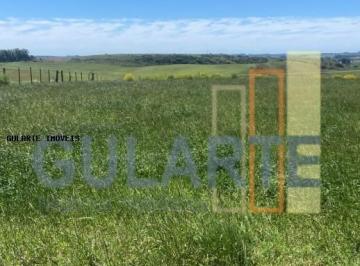 Imagem 1 · Fazenda