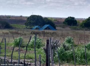 Imagem 1 · Fazenda