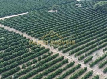Imagem 1 · Fazenda
