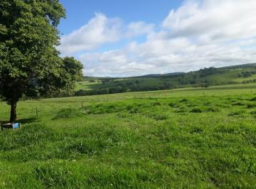 Imagem 1 · Fazenda