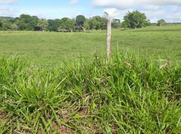Imagem 1 · Fazenda