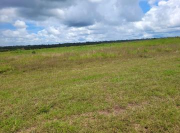 Imagem 1 · Fazenda