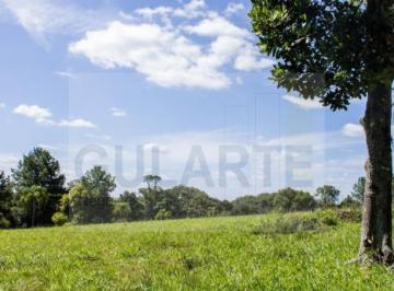 Imagem 1 · Fazenda