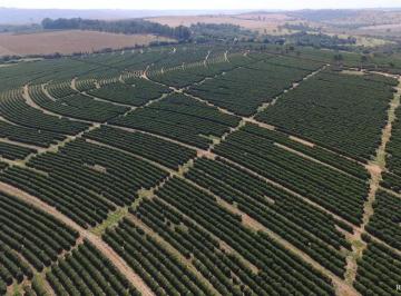 Imagem 1 · Fazenda