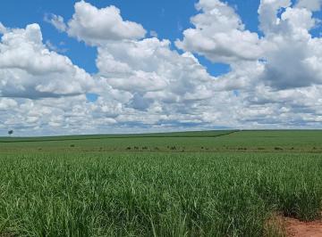 Imagem 1 · Fazenda