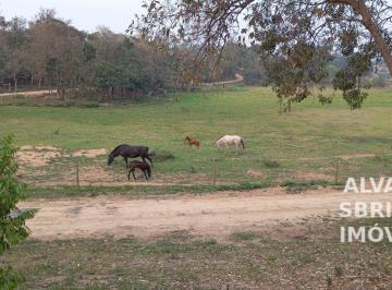 Imagem 1 · Haras e Área Rural Padrão