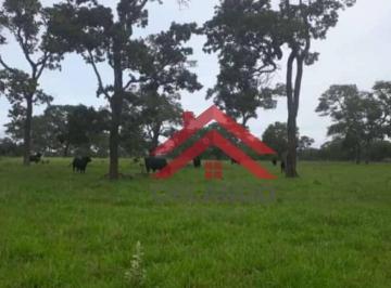 Imagem 1 · Fazenda