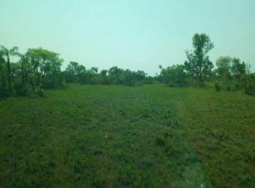 Imagem 1 · Fazenda