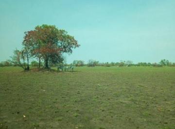 Imagem 1 · Fazenda