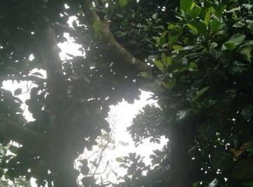 Imagem 1 · Chácara