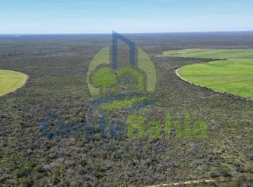 Imagem 1 · Fazenda
