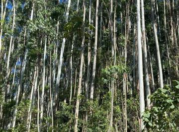 Imagem 1 · Fazenda
