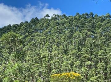 Imagem 1 · Fazenda