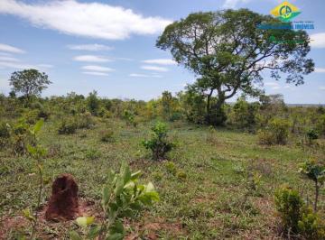 Imagem 1 · Fazenda