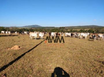 Imagem 1 · Fazenda