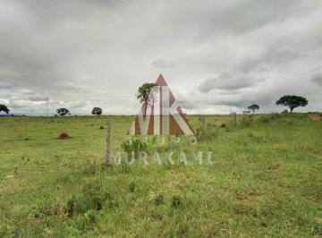 Imagem 1 · Fazenda