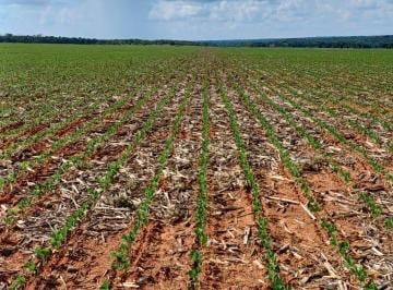 Imagem 1 · Fazenda