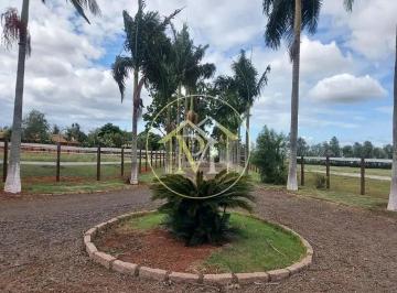 Imagem 1 · Fazenda para venda em Centro, Quadra