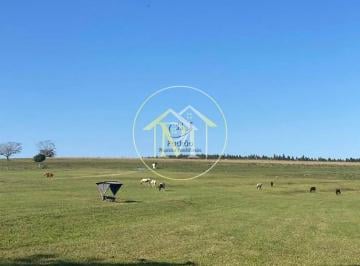 Imagem 1 · Fazenda