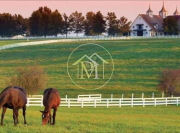 Imagem 1 · Fazenda