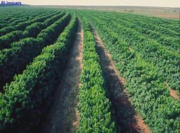 Imagem 1 · Fazenda