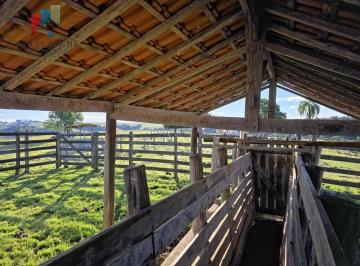 Imagem 1 · Fazenda