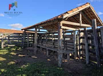 Imagem 1 · Fazenda para venda em Centro, Itapetininga