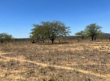 Imagem 1 · Fazenda
