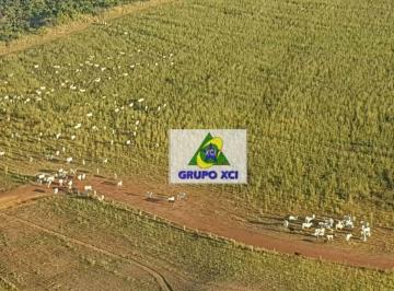 Imagem 1 · Fazenda