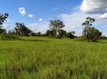 Imagem 1 · Fazenda