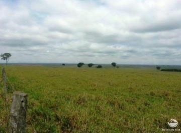 Imagem 1 · Fazenda