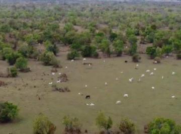 Imagem 1 · Fazenda