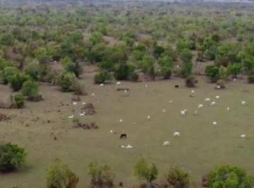 Imagem 1 · Fazenda para venda em Amolar, Corumbá