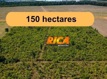 Imagem 1 · Fazenda