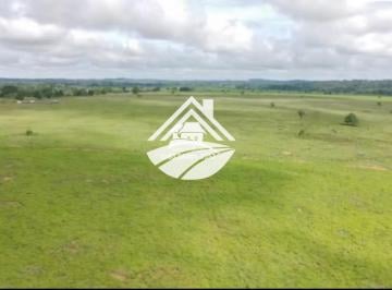 Imagem 1 · Fazenda