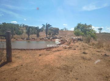 Imagem 1 · Fazenda