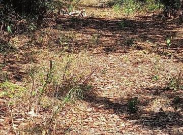 Imagem 1 · Fazenda