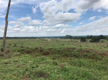 Imagem 1 · Fazenda