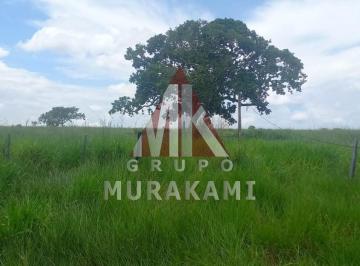 Imagem 1 · Fazenda