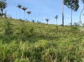 Imagem 1 · Fazenda