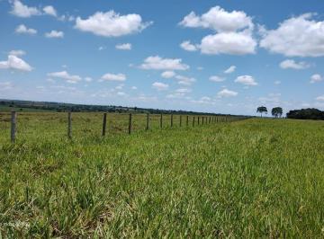 Imagem 1 · Fazenda