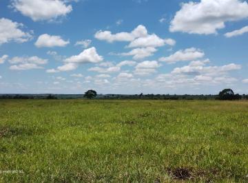Imagem 1 · Fazenda