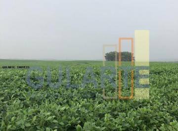 Imagem 1 · Fazenda