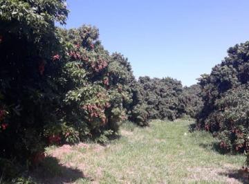 Imagem 1 · Fazenda