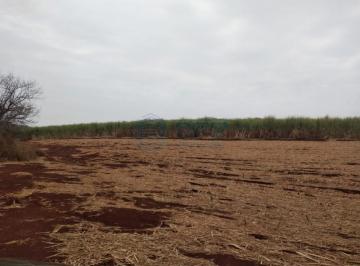 Imagem 1 · Fazenda