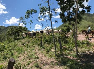 Imagem 1 · Fazenda