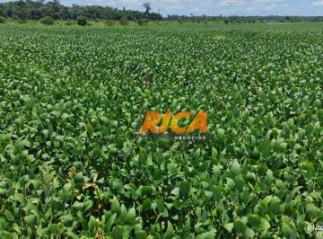 Imagem 1 · Fazenda