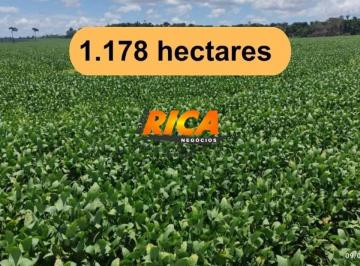 Imagem 1 · Fazenda para venda em Candeias do Jamari
